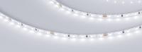 Светодиодная лента Arlight 5,4W/m 120LED/m 2216SMD холодный белый 5M 024417(2)