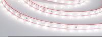 Светодиодная влагозащищенная лента Arlight 4,8W/m 60LED/m 2835SMD дневной белый 50M RTW-PS-A60-10mm 24V Day4000 024564(2)