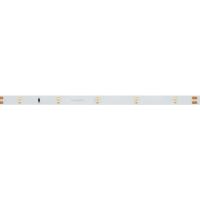 Светодиодная лента Arlight 2,9W/m 30LED/m 3528SMD холодный белый 5M 019916(1)