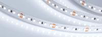 Светодиодная лента Arlight 9,6W/m 120LED/m 2835SMD холодный белый 20M 024589(1)