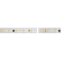 Лента ARL-50000PV-230V Cool 10K (5060, 54 LED/m, WP2) (Arlight, 8 Вт/м, IP65)