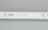 Лента RT-20000 24V White6000 (3528, 60 LED/m, 20m) (Arlight, 4.8 Вт/м, IP20)