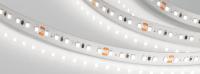 Светодиодная лента Arlight 9,6W/m 120LED/m 2835SMD дневной белый 20M 024591(2)