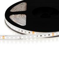 Одноцветная светодиодная лента Ultra long 50 4000k, цвет - Белый