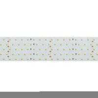 Светодиодная лента Arlight 36W/m 350LED/m 2835SMD холодный белый 2,5M 019083(1)
