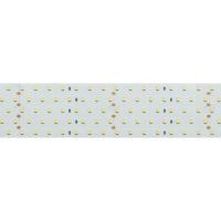Светодиодная лента Arlight 36W/m 350LED/m 2835SMD дневной белый 2,5M 025162(1)