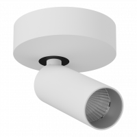 Накладной светодиодный светильник LeDron SAGITONY R1 S40 White-Grey