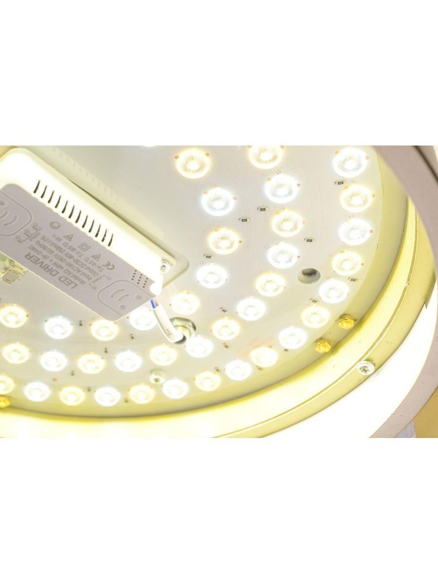 Потолочный светодиодный светильник Zortes Gerda ZRS.1097.40