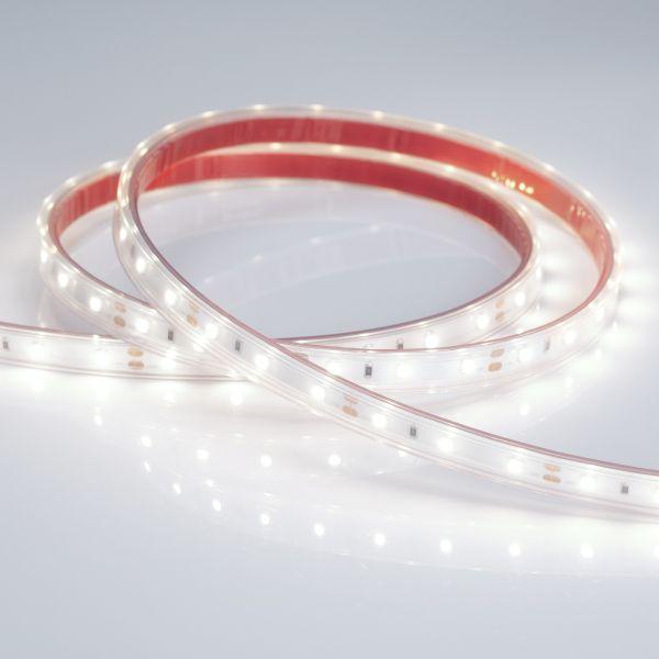 Светодиодная влагозащищенная лента Arlight 4,8W/m 60LED/m 2835SMD холодный белый 5M 021099(2)