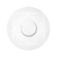 Настенно-потолочный светильник Sonex Smalli 3011/AL