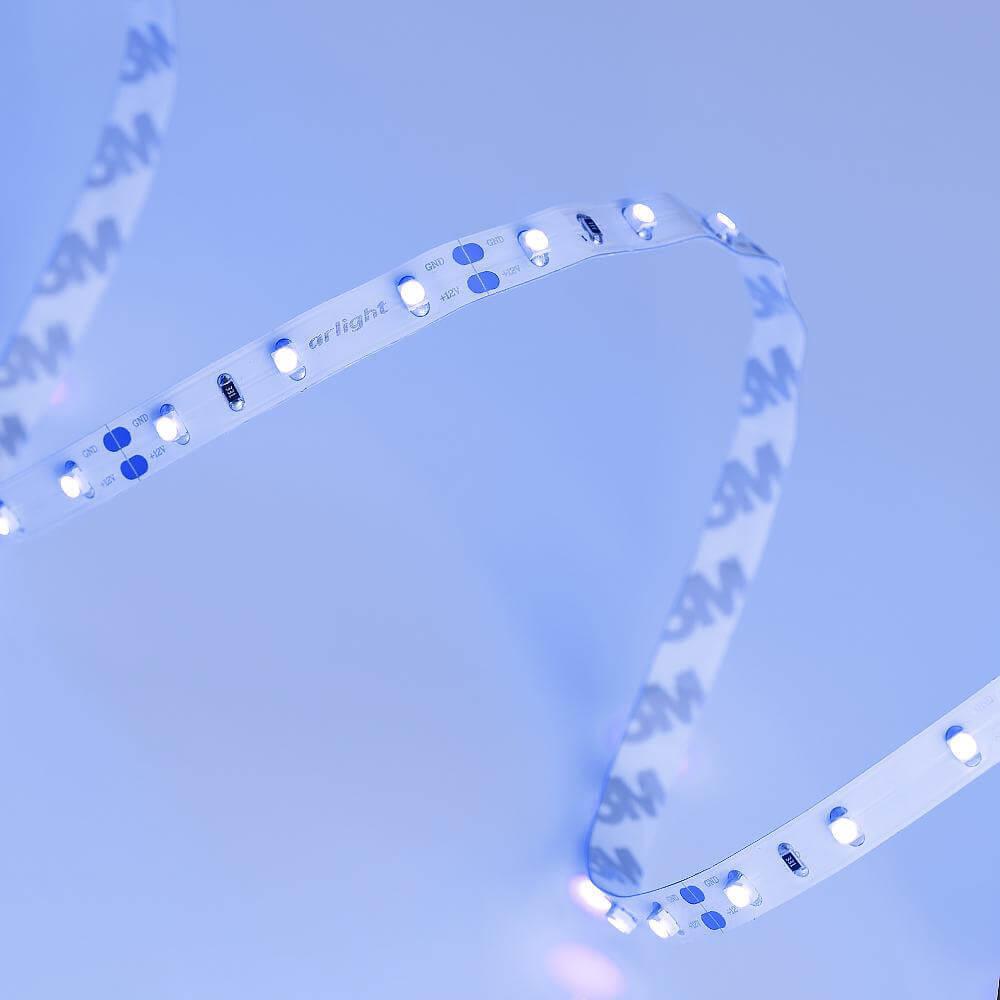 Светодиодная лента Arlight 4,8W/m 60LED/m 3528SMD синий 5M 010523(1)