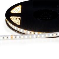 Мультибелая светодиодная лента Elite 120 ww+cw, цвет - Белый