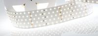 Лента RT 2-2500 24V White6000 5x2 (2835, 875 LED, LUX) (Arlight, 36 Вт/м, IP20)