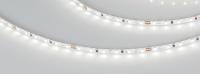 Светодиодная лента Arlight 5,4W/m 120LED/m 2216SMD дневной белый 5M 024419(2)