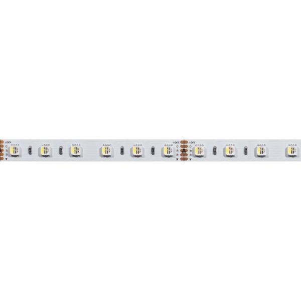 Светодиодная лента Arlight 19,2W/m 60LED/m 5060SMD разноцветный/холодный белый 5M 019096(2)