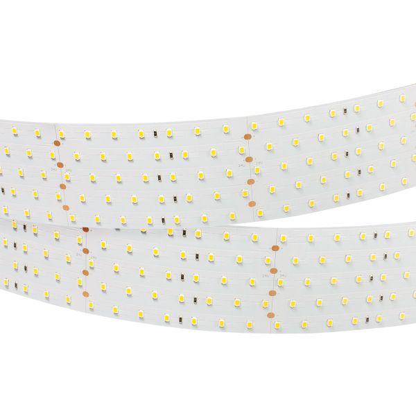 Светодиодная лента Arlight 36W/m 350LED/m 2835SMD дневной белый 2,5M 019081(2)