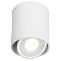 Светильник накладной ORBIN TUB White Ledron регулируемый LED