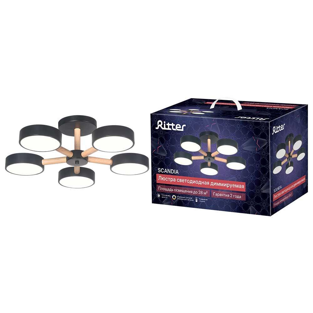 Потолочная люстра Ritter SCANDIA 51592 4