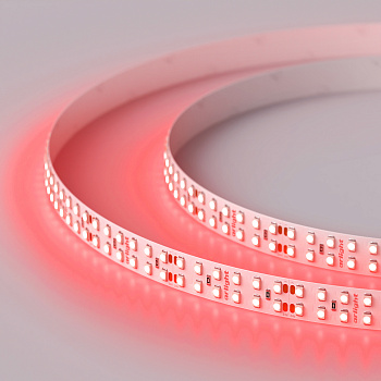 Лента RT 2-5000 24V Red 2x2 (3528, 1200 LED, LUX) (Arlight, 19.2 Вт/м, IP20)