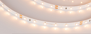 Светодиодная лента Arlight 4,8W/m 60LED/m 3528SMD теплый белый 5M 027935(2)