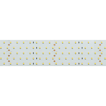 Лента RT 2-2500 24V Day4000 5x2 (2835, 875 LED, CRI98) (Arlight, 36 Вт/м, IP20)
